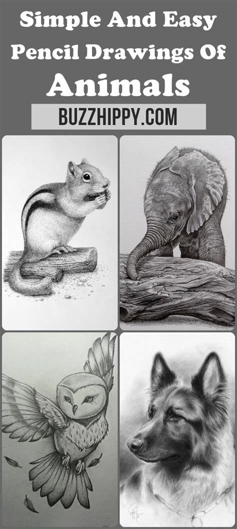 1) draw a rectangle that will define the conditional proportions and boundaries of the chosen drawing. 85 Simple And Easy Pencil Drawings Of Animals For Every Beginner