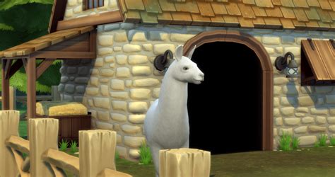 The Sims 4 Everything You Need To Know About Llamas
