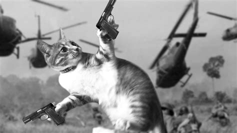 Create Meme Cat The Vietnam Flashbacks Vietnam Flashback Cat