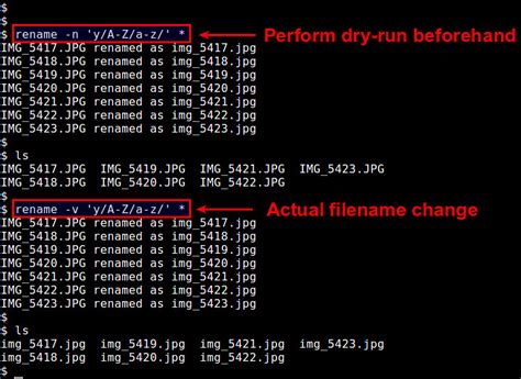 Sameh Attia How To Rename Multiple Files On Linux