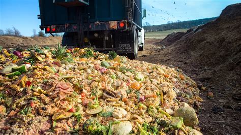 Food waste in the us. Scotland Leads The Way In Food Waste Recycling - Up By ...
