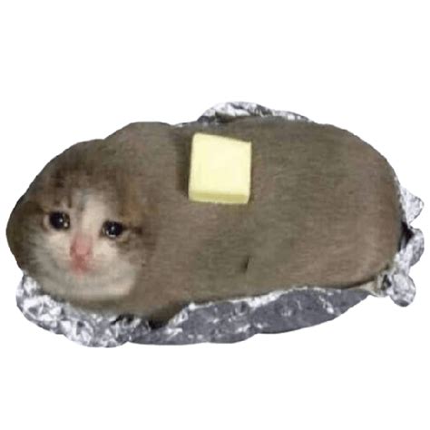Crying Cat Meme Png Isolated Photo Png Mart