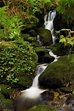 Stream Falls in Redwood National and State Parks, California United ...