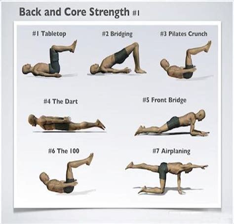 This series of lower back strengthening exercises will help you keep your back strong. Pin on Fitness