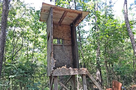 How To Build Elevated Deer Blinds On A Budget Game And Fish