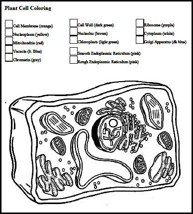 Read also minecraft creeper coloring. Christian Home School Hub - Cytology Study of Cells ...