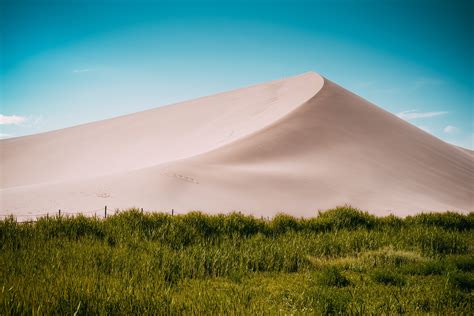 Sand Nature Landscape Plants Grass Dune Wallpapers Hd Desktop