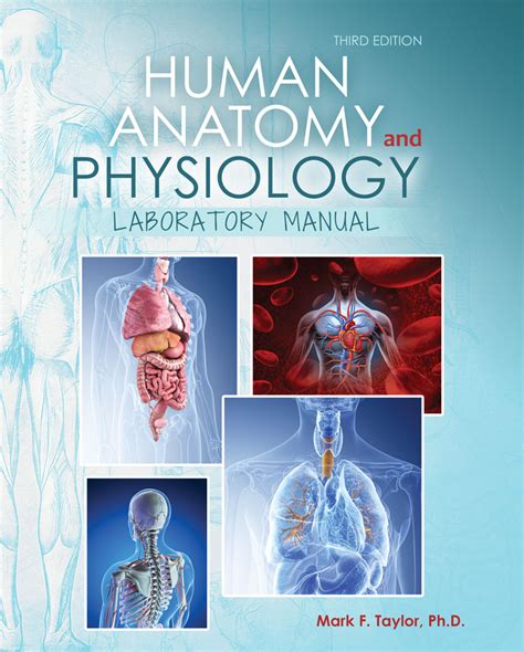 Human Anatomy And Physiology Laboratory Manual Higher Education