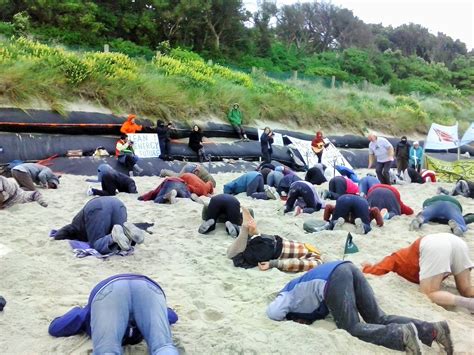 New Zealanders Bury Heads In Sand Just Like