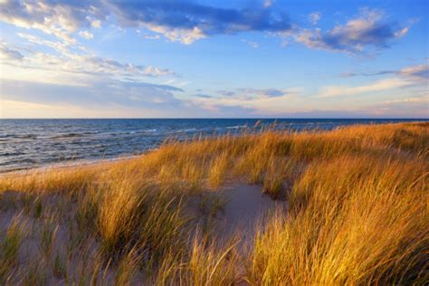 Dune Grass On Lake Michigan Stock Photo Download Image Now Istock