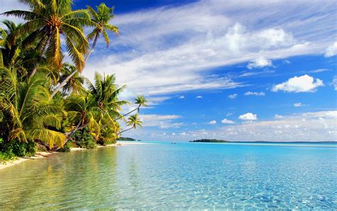 High Definition Tropical Wallpapers Wallpapersafari