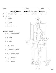 Body Planes Worksheets
