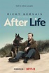 After Life Season 1: Netflix Release Date, Plot, Cast and Trailer ...
