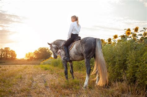 eine frau reitet bei sonnenuntergang auf einem grauen pferd auf einem feld freiheit schöner