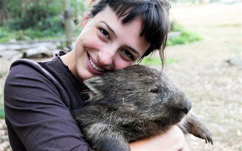 You Could Be Tasmanias ‘chief Wombat Cuddler Wombat Tasmania