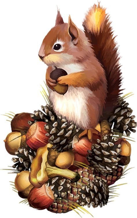 Download High Quality Fall Clipart Squirrel Transparent Png Images