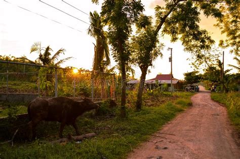 Stunning View Of The Sun Setting Over Rural Life On The Island Of Cebu