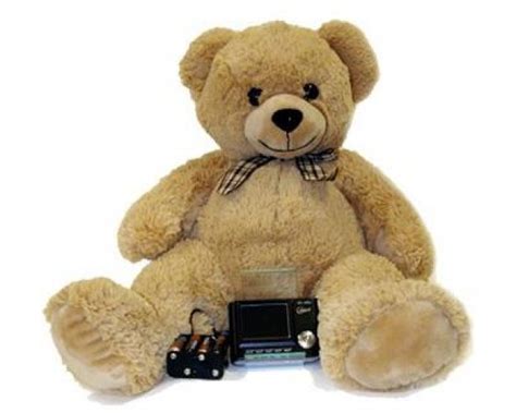 Teddy Bear Nanny Cameras For Home Review Home Co