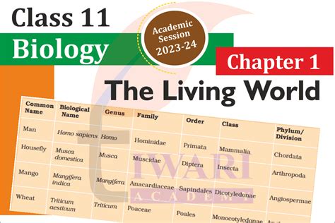 Ncert Solutions For Class Biology Chapter The Living World