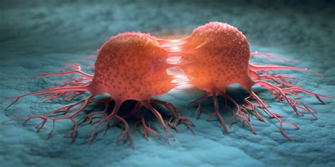 The Worlds First Digital Model Of A Cancer Cell