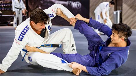 7 Pieces Of Advice To Become Expert In Brazilian Jiu Jitsu