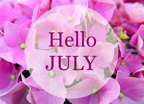 Hello July Greeting On Natural Campanula Flowers Backgroundsummer