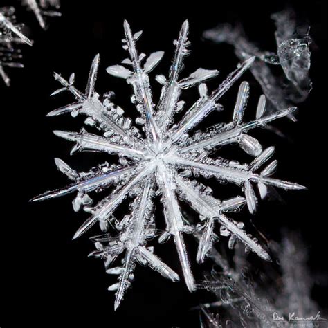 Stunningly Detailed Macro Photographs Of Snowflakes