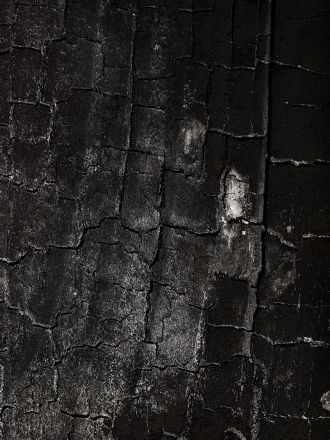 Coal Closeup Fuel Charred Wood Black Background Photo Flickr