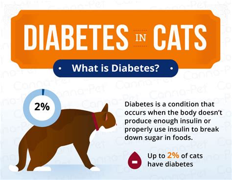 Tell your doctor, pharmacist, and other healthcare providers. Diabetes in Cats: Causes, Symptoms, & Treatment | Canna-Pet