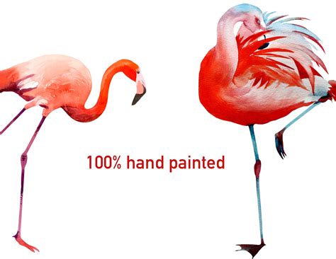 Watercolor Clipart Flamingo Clipart Set Png Flamingos Birds Etsy