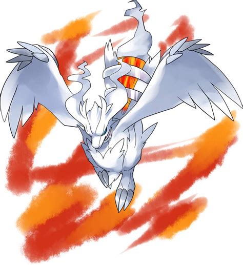 Reshiram Pokémon Amino