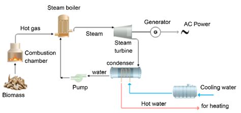Principle Of Operation Of A Steam Turbine Biomass Cogeneration Plant