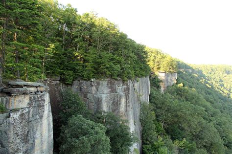 The 5 Best Hikes In West Virginia | West virginia travel, West virginia mountains, West virginia