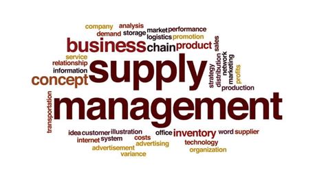 Lean Supply Chain Management Vedzen