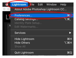 Since lightroom classic cc does not support the.lrtemplate format, it converts all.lrtemplate presets to the latest.xmp format and automatically copies them to the appropriate folder. How do I import my presets into the new Lightroom CC (2017 ...