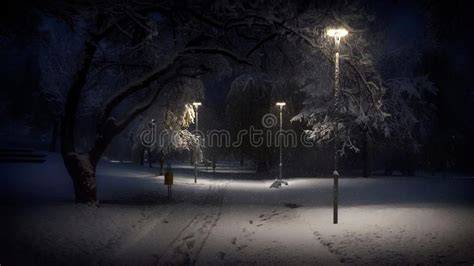 Early Winter Morning In The Local Park At Snowfall Stock Photo Image