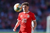 Daniel James could be an excellent signing for Southampton, and would ...
