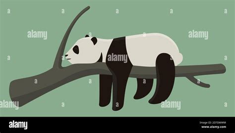Panda Sleeping On Branch Cute Animal In Cartoon Style Stock Vector