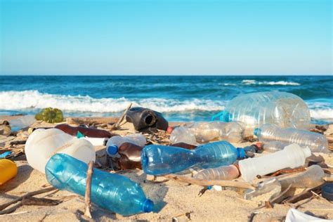 Smart Sustainable Plastic Packaging Projects For Recycle Week Ukri