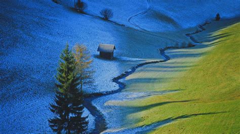 Nature Landscape Trees Tyrol Austria Valley Pine