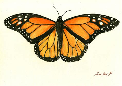 Monarch Butterfly Painting By Juan Bosco Pixels Merch