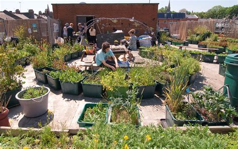 Urban Gardening Gemeinschaftsgärten In Der Stadt SchÖner Wohnen