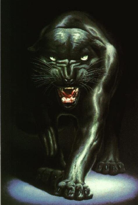 Black Panther Fanart Black Panthers Fan Art 9582504 Fanpop
