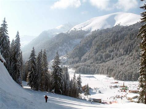 They are situated on 1.4 hectares biologically certified land in area called predela, which separates rila from. ski-resorts-bulgaria