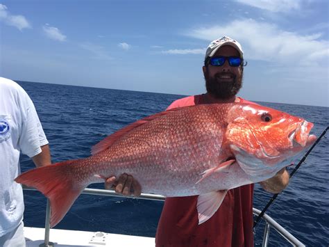 American Red Snapper Successful Release Rfishing