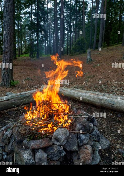 Campfire In The Forest Stock Photo Alamy