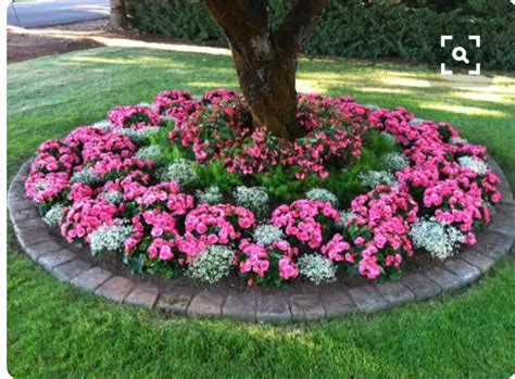 Pin By Bjr Ricks On Gardening Front Yard Landscaping Design Annual