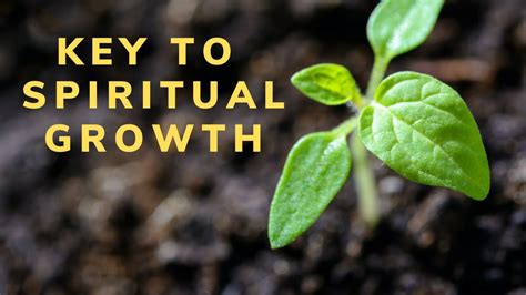 How To Grow Spiritually As A Christian Key To Spiritual Growth Youtube