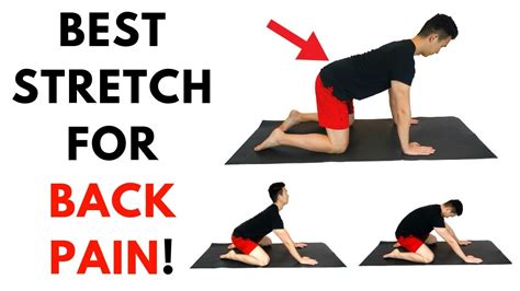 The Best Exercise To Relieve Back Pain At Home Youtube