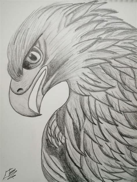 Guila A Lapiz Aguila Para Dibujar Aguila Dibujo Dibujos Bonitos